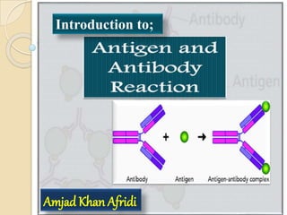 Introduction to;
Amjad Khan Afridi
 