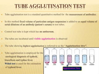 TUBE AGGLUTINATION TEST
 Tube agglutination test is a standard quantitative method for the measurement of antibodies.
 In this method fixed volume of particulate antigen suspension is added to an equal volume of
serial dilutions of an antibody (patient‘s serum) in test tubes.
 Control test tube is kept which has no antiserum.
 The tubes are incubated until visible agglutination is observed
 The tube showing highest agglutination is referred to as the “Agglutination titre”.
 Tube agglutination is employed for the
serological diagnosis of typhoid,
brucellosis and typhus fever.
Widal test is used for the estimation
of typhoid fever. Agglutination Titre
 