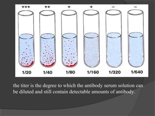 Titer Strength Antigen antibody reactions | PPT