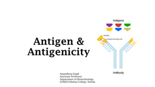 Antigen &
Antigenicity
Amandeep Singh
Assistant Professor
Department of Biotechnology
GSSDGS Khalsa College, Patiala
 