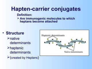 Hapten-carrier conjugates
Definition:
Are immunogenic molecules to which
heptans become attached
Native determinants
Haptenic determinants
• Structure
native
determinants
haptenic
determinants
(created by Heptans)
 