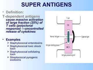 SUPER ANTIGENS
• Definition:
T-dependent antigens
cause massive activation
of large fraction (25%) of
T cells (polyclonal
response) ---uncontrolled
release of cytokines
• Examples
 Staphylococcal enterotoxins
 Staphylococcal toxic shock
toxin
 Staphylococcal exfoliating
toxin
 Streptococcal pyrogenic
exotoxins
 