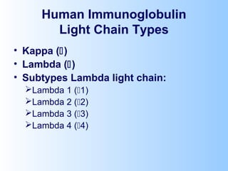 Human Immunoglobulin
Light Chain Types
• Kappa ()
• Lambda ()
• Subtypes Lambda light chain:
Lambda 1 (1)
Lambda 2 (2)
Lambda 3 (3)
Lambda 4 (4)
 
