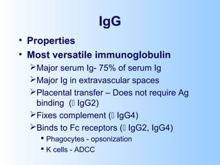 IgG
• Properties
• Most versatile immunoglobulin
Major serum Ig- 75% of serum Ig
Major Ig in extravascular spaces
Placental transfer – Does not require Ag
binding ( IgG2)
Fixes complement ( IgG4)
Binds to Fc receptors ( IgG2, IgG4)
 Phagocytes - opsonization
 K cells - ADCC
 