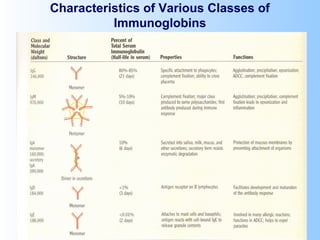 Characteristics of Various Classes of
Immunoglobins
 