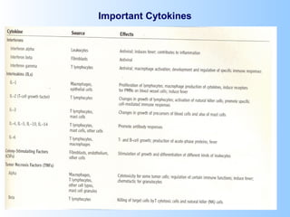 Important Cytokines
 
