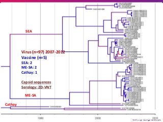 FMD - South East Asia	
SEA	
ME-SA	
Cathay	
Virus	(n=97)	2007-2012	
Vaccine	(n=5)	
SEA:	2	
ME-SA:	2	
Cathay:	1	
	
Capsid	se...