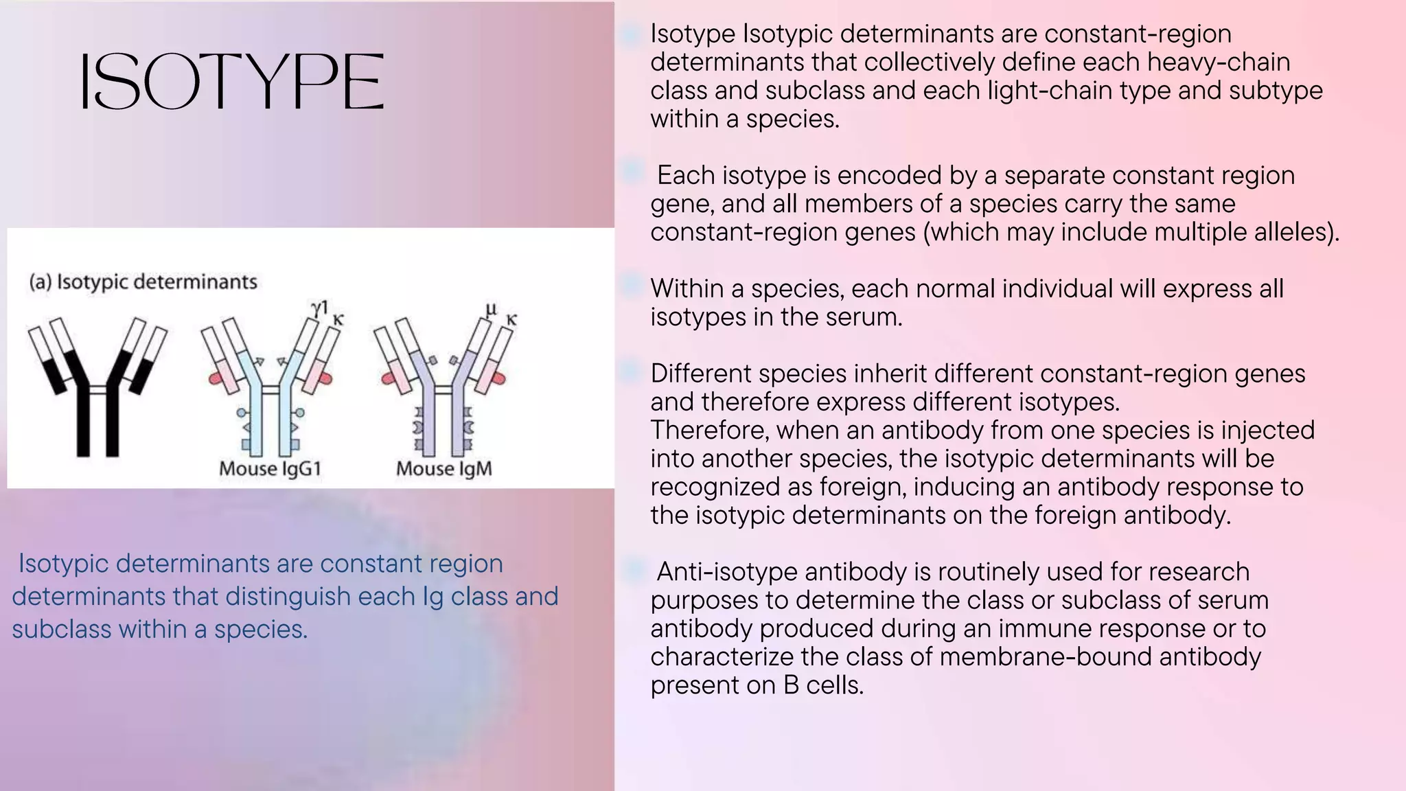 Isotype Isotypic determinants are constant-region
determinants that collectively define each heavy-chain
class and subclass and each light-chain type and subtype
within a species.
Each isotype is encoded by a separate constant region
gene, and all members of a species carry the same
constant-region genes (which may include multiple alleles).
Within a species, each normal individual will express all
isotypes in the serum.
Different species inherit different constant-region genes
and therefore express different isotypes.
Therefore, when an antibody from one species is injected
into another species, the isotypic determinants will be
recognized as foreign, inducing an antibody response to
the isotypic determinants on the foreign antibody.
Anti-isotype antibody is routinely used for research
purposes to determine the class or subclass of serum
antibody produced during an immune response or to
characterize the class of membrane-bound antibody
present on B cells.
Isotypic determinants are constant region
determinants that distinguish each Ig class and
subclass within a species.
 