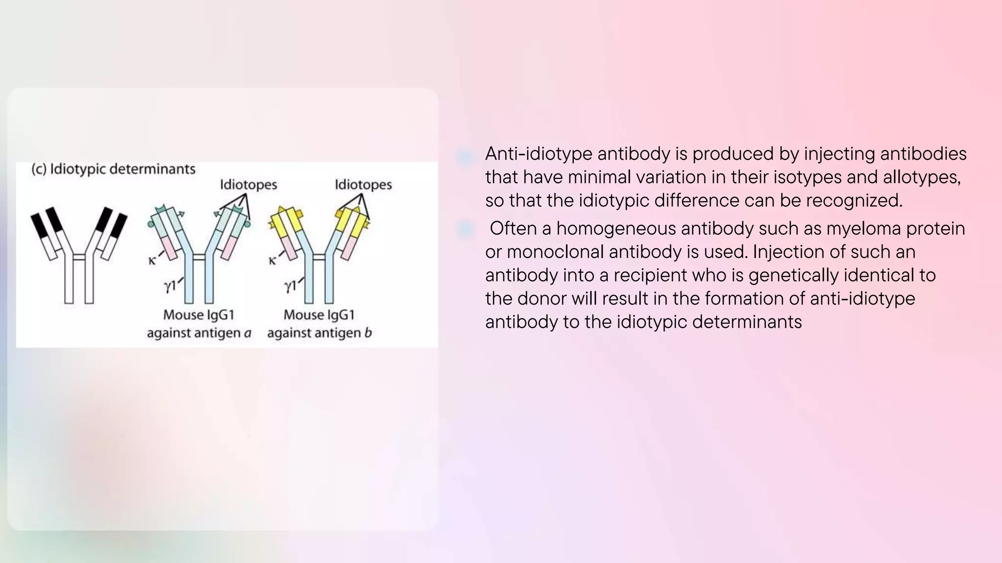 Anti-idiotype antibody is produced by injecting antibodies
that have minimal variation in their isotypes and allotypes,
so that the idiotypic difference can be recognized.
Often a homogeneous antibody such as myeloma protein
or monoclonal antibody is used. Injection of such an
antibody into a recipient who is genetically identical to
the donor will result in the formation of anti-idiotype
antibody to the idiotypic determinants
 