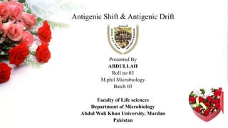Antigenic Shift & Antigenic Drift
Presented By
ABDULLAH
Roll no 03
M.phil Microbiology
Batch 03
Faculty of Life sciences
Department of Microbiology
Abdul Wali Khan University, Mardan
Pakistan
 
