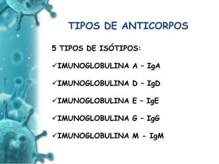 ANTIGENO
e
ANTICORPO
TIPOS DE ANTICORPOS
5 TIPOS DE ISÓTIPOS:
IMUNOGLOBULINA A – IgA
IMUNOGLOBULINA D – IgD
IMUNOGLOBULINA E – IgE
IMUNOGLOBULINA G – IgG
IMUNOGLOBULINA M - IgM
 