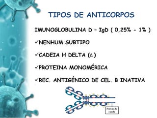 ANTIGENO
e
ANTICORPO
TIPOS DE ANTICORPOS
IMUNOGLOBULINA D – IgD ( 0,25% - 1% )
NENHUM SUBTIPO
CADEIA H DELTA (Δ )
PROTEINA MONOMÉRICA
REC. ANTIGÉNICO DE CEL. B INATIVA
 