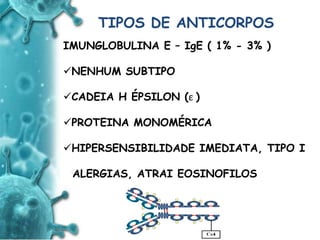 ANTIGENO
e
ANTICORPO
TIPOS DE ANTICORPOS
IMUNGLOBULINA E – IgE ( 1% - 3% )
NENHUM SUBTIPO
CADEIA H ÉPSILON (ε )
PROTEINA MONOMÉRICA
HIPERSENSIBILIDADE IMEDIATA, TIPO I
ALERGIAS, ATRAI EOSINOFILOS
 