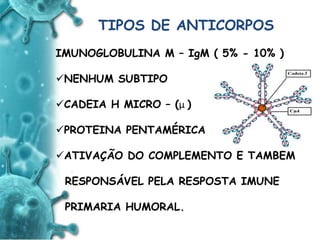 ANTIGENO
e
ANTICORPO
TIPOS DE ANTICORPOS
IMUNOGLOBULINA M – IgM ( 5% - 10% )
NENHUM SUBTIPO
CADEIA H MICRO – (µ )
PROTEINA PENTAMÉRICA
ATIVAÇÃO DO COMPLEMENTO E TAMBEM
RESPONSÁVEL PELA RESPOSTA IMUNE
PRIMARIA HUMORAL.
 