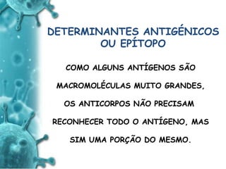 ANTIGENO
e
ANTICORPO
DETERMINANTES ANTIGÉNICOS
OU EPÍTOPO
COMO ALGUNS ANTÍGENOS SÃO
MACROMOLÉCULAS MUITO GRANDES,
OS ANTICORPOS NÃO PRECISAM
RECONHECER TODO O ANTÍGENO, MAS
SIM UMA PORÇÃO DO MESMO.
 