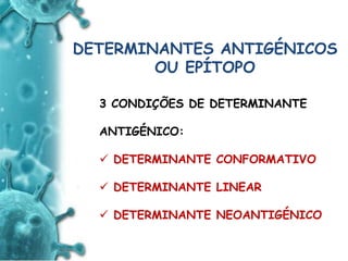 ANTIGENO
e
ANTICORPO
DETERMINANTES ANTIGÉNICOS
OU EPÍTOPO
3 CONDIÇÕES DE DETERMINANTE
ANTIGÉNICO:
 DETERMINANTE CONFORMATIVO
 DETERMINANTE LINEAR
 DETERMINANTE NEOANTIGÉNICO
 