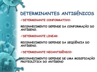 ANTIGENO
e
ANTICORPO
DETERMINANTES ANTIGÉNICOS
DETERMINANTE CONFORMATIVO:
RECONHECIMENTO DEPENDE DA CONFORMAÇÃO DO
ANTÍGENO.
DETERMINANTE LINEAR:
RECONHECIMENTO DEPENDE DA SEQÜÊNCIA DO
ANTÍGENO.
DETERMINANTE NEOANTIGÊNICO:
RECONHECIMENTO DEPENDE DE UMA MODIFICAÇÃO
PROTEOLÍTICA DO ANTÍGENO
 