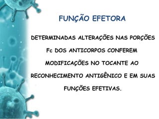 ANTIGENO
e
ANTICORPO
FUNÇÃO EFETORA
DETERMINADAS ALTERAÇÕES NAS PORÇÕES
Fc DOS ANTICORPOS CONFEREM
MODIFICAÇÕES NO TOCANTE AO
RECONHECIMENTO ANTIGÊNICO E EM SUAS
FUNÇÕES EFETIVAS.
 