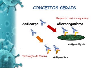 ANTIGENO
e
ANTICORPO
CONCEITOS GERAIS
Anticorpo Microorganismo
Antígeno ligado
Antígeno livre
Resposta contra o agressor
Inativação da Toxina
 