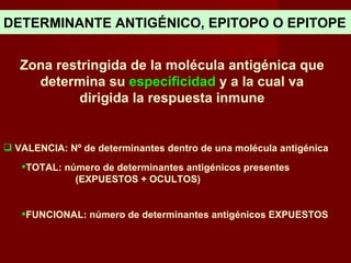 DETERMINANTE ANTIGÉNICO, EPITOPO O EPITOPE


   Zona restringida de la molécula antigénica que
     determina su especificidad y a la cual va
            dirigida la respuesta inmune


 VALENCIA: Nº de determinantes dentro de una molécula antigénica
   TOTAL: número de determinantes antigénicos presentes
             (EXPUESTOS + OCULTOS)


   FUNCIONAL: número de determinantes antigénicos EXPUESTOS
 