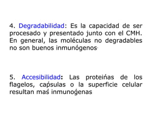 4. Degradabilidad: Es la capacidad de ser
procesado y presentado junto con el CMH.
En general, las moléculas no degradables
no son buenos inmunógenos.
5. Accesibilidad: Las proteínas de los
flagelos, cápsulas o la superficie celular
resultan más inmunógenas
 