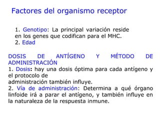 Factores del organismo receptor
1. Genotipo: La principal variación reside
en los genes que codifican para el MHC.
2. Edad
DOSIS DE ANTÍGENO Y MÉTODO DE
ADMINISTRACIÓN
1. Dosis: hay una dosis óptima para cada antígeno y
el protocolo de
administración también influye.
2. Vía de administración: Determina a qué órgano
linfoide irá a parar el antígeno, y también influye en
la naturaleza de la respuesta inmune.
 