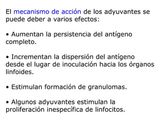 El mecanismo de acción de los adyuvantes se
puede deber a varios efectos:
• Aumentan la persistencia del antígeno
completo.
• Incrementan la dispersión del antígeno
desde el lugar de inoculación hacia los órganos
linfoides.
• Estimulan formación de granulomas.
• Algunos adyuvantes estimulan la
proliferación inespecífica de linfocitos.
 