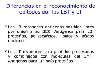 Diferencias en el reconocimiento de
epítopos por los LBT y LT
Los LB reconocen antígenos solubles libres
por unión a su BCR. Antígenos para LB:
proteínas, polisacáridos, lípidos y ácidos
nucleicos
Los LT reconocen sólo péptidos procesados
y combinados con moléculas del CMH.
Antígenos para LT: sólo proteínas
 
