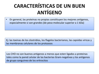 CARACTERÍSTICAS DE UN BUEN
ANTÍGENO
• En general, las proteinas no propias constituyen los mejores antigenos,
especialmente si son grandes (de peso molecular superior a 1 kDa)
Ej: las toxinas de los clostridios, los flagelos bacterianos, las capsidas viricas y
las membranas celulares de los protozoos
Los CHO no son buenos antigenos a menos que esten ligados a proteinas
tales como la pared celular de las bacterias Gram-negativas y los antigenos
de grupo sanguineo de los eritrocitos
 