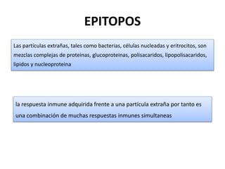 EPITOPOS
Las partículas extrañas, tales como bacterias, células nucleadas y eritrocitos, son
mezclas complejas de proteinas, glucoproteinas, polisacaridos, lipopolisacaridos,
lipidos y nucleoproteina
la respuesta inmune adquirida frente a una partícula extraña por tanto es
una combinación de muchas respuestas inmunes simultaneas
 