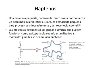 Haptenos
• Una molecula pequeña, como un farmaco o una hormona con
un peso molecular inferior a 1 kDa, es demasiado pequeña
para procesarse adecuadamente y ser reconocida por el SI
• Las moleculas pequeñas o los grupos quimicos que pueden
funcionar como epitopos solo cuando estan ligados a
moleculas grandes se denominan haptenos
haptein significa agarrar o atar).
La molecula antigenica
a la que se unen los haptenos
recibe el nombre
de portadora o carrier
 