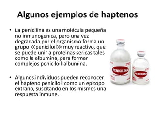 Algunos ejemplos de haptenos
• La penicilina es una molécula pequeña
no inmunogenica, pero una vez
degradada por el organismo forma un
grupo ≪peniciloil≫ muy reactivo, que
se puede unir a proteinas sericas tales
como la albumina, para formar
complejos peniciloil-albumina.
• Algunos individuos pueden reconocer
el hapteno peniciloil como un epitopo
extrano, suscitando en los mismos una
respuesta inmune.
 