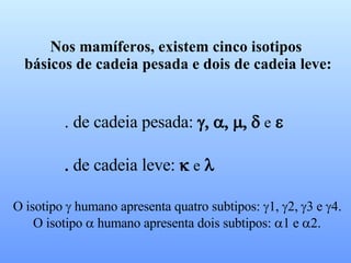 Nos mamíferos, existem cinco isotipos básicos de cadeia pesada e dois de cadeia leve: . de cadeia pesada:     e     de cadeia leve:  e    O isotipo    humano apresenta quatro subtipos:   e  O isotipo    humano apresenta dois subtipos:   e  
