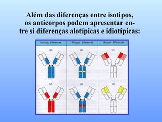 Além das diferenças entre isotipos, os anticorpos podem apresentar en- tre si diferenças alotípicas e idiotípicas: 