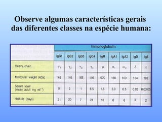 Observe algumas características gerais  das diferentes classes na espécie humana: 