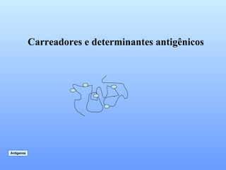 Carreadores e determinantes antigênicos Antígenos 