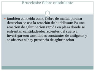 Brucelosis: fiebre onbdulante
 tambien conocida como fiebre de malta, para su
deteccion se usa la reacción de huddleson: Es una
reaccion de aglutinacion rapida en plaza donde se
enfrentan cantidadesdecrecientes del suero a
investigar con cantidades constantes de antigeno y
se observa si hay presencia de aglutinación
 