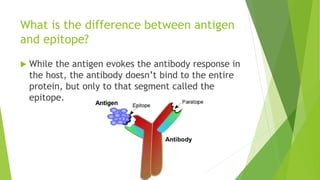 What is the difference between antigen
and epitope?
 While the antigen evokes the antibody response in
the host, the antibody doesn’t bind to the entire
protein, but only to that segment called the
epitope.
 