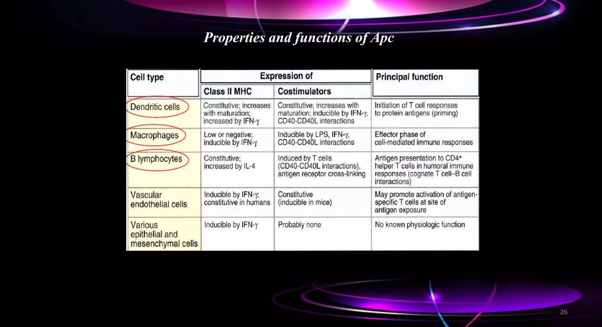 Properties and functions of Apc
26
 