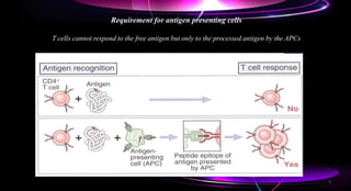 Requirement for antigen presenting cells
T cells cannot respond to the free antigen but only to the processed antigen by the APCs
7
 