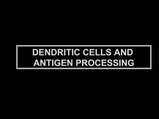 DENDRITIC CELLS AND  ANTIGEN PROCESSING 