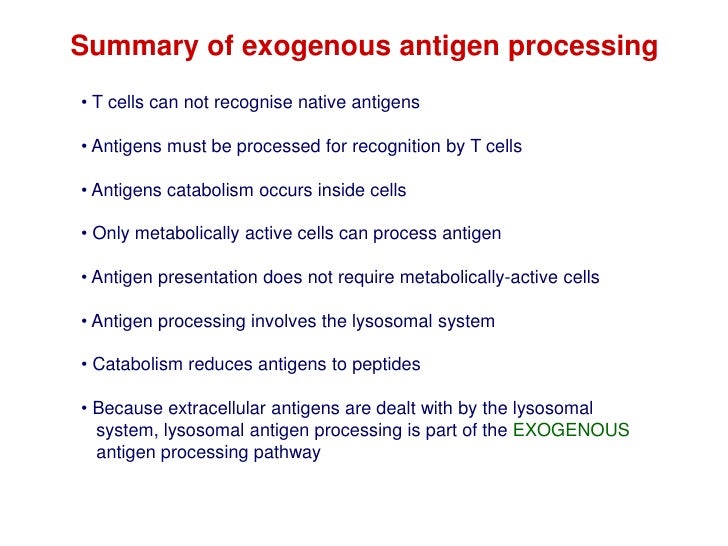 Antigen Processing