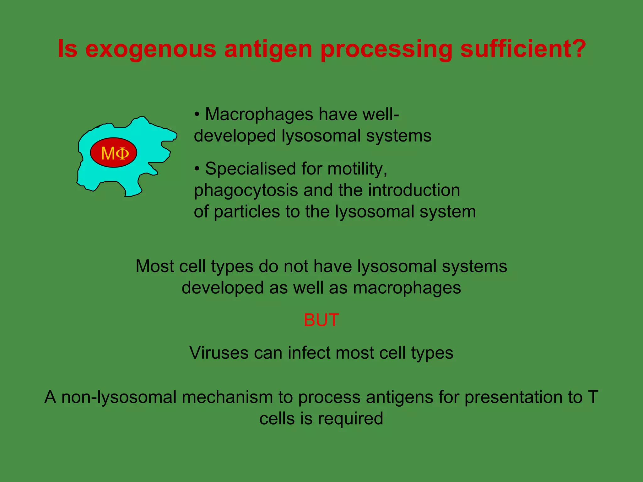 Is exogenous antigen processing sufficient? Most cell types do not have lysosomal systems developed as well as macrophages BUT Viruses can infect most cell types •  Specialised for motility,  phagocytosis and the introduction  of particles to the lysosomal system A non-lysosomal mechanism to process antigens for presentation to T cells is required M  •  Macrophages have well- developed lysosomal systems 