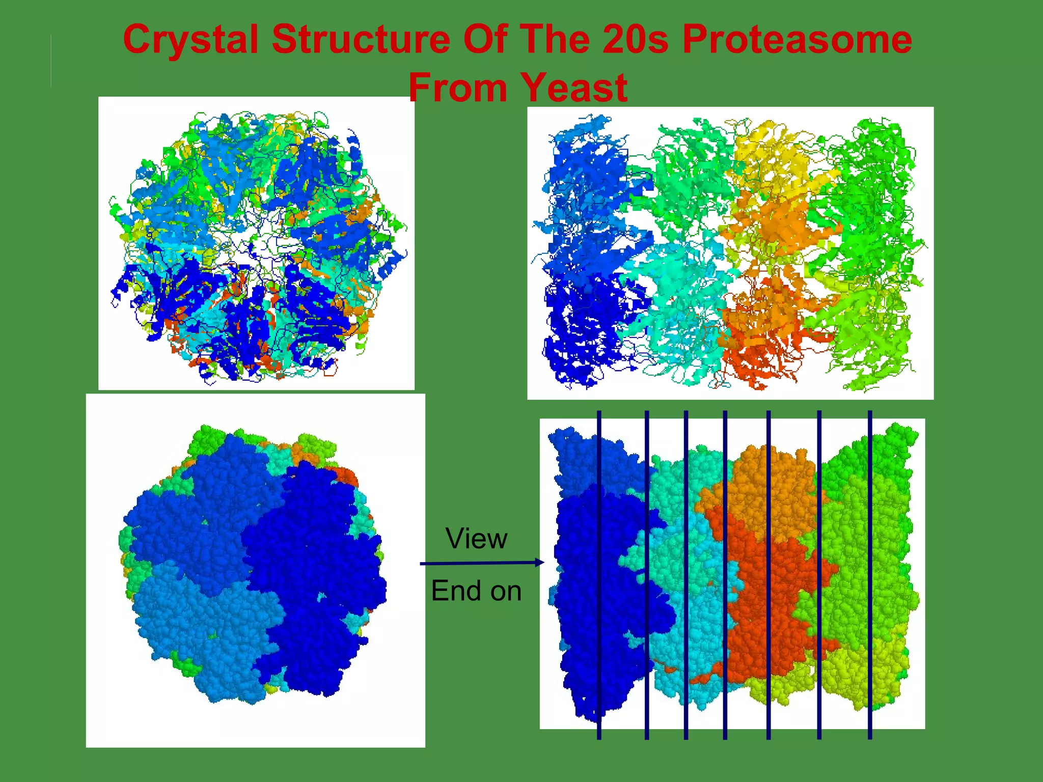 Crystal Structure Of The 20s Proteasome From Yeast View End on 