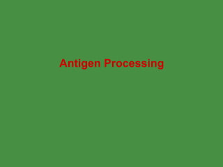 Antigen Processing 