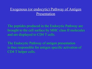 The peptides produced in the Endocytic Pathway are  brought to the cell surface by MHC class II molecules  and are displayed to CD4 T cells. The Endocytic Pathway of antigen presentation is thus responsible for antigen specific activation of CD4 T helper cells. Exogenous (or endocytic) Pathway of Antigen Presentation 