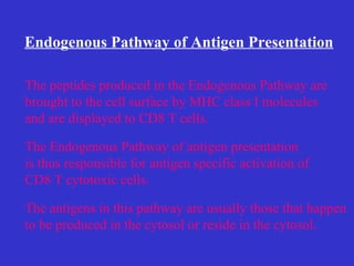 Endogenous Pathway of Antigen Presentation The peptides produced in the Endogenous Pathway are  brought to the cell surface by MHC class I molecules  and are displayed to CD8 T cells. The Endogenous Pathway of antigen presentation is thus responsible for antigen specific activation of CD8 T cytotoxic cells. The antigens in this pathway are usually those that happen to be produced in the cytosol or reside in the cytosol.  