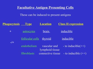 Facultative Antigen Presenting Cells Phagocytosis   Type Location Class II expression +   astrocytes   brain  inducible follicular cells   thyroid   inducible -/+ endothelium   vascular and   - to inducible(++) lymphoid tissue  fibroblasts   connective tissue  - to inducible (++) These can be induced to present antigens 