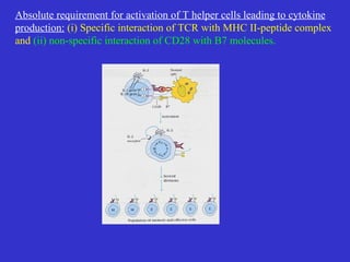 Absolute requirement for activation of T helper cells leading to cytokine production:   (i) Specific interaction of TCR with MHC II-peptide complex and   (ii) non-specific interaction of CD28 with B7 molecules. 