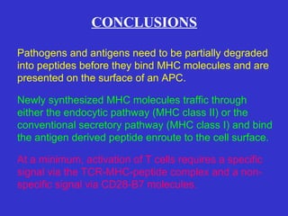 CONCLUSIONS Pathogens and antigens need to be partially degraded into peptides before they bind MHC molecules and are presented on the surface of an APC. Newly synthesized MHC molecules traffic through  either the endocytic pathway (MHC class II) or the conventional secretory pathway (MHC class I) and bind the antigen derived peptide enroute to the cell surface. At a minimum, activation of T cells requires a specific signal via the TCR-MHC-peptide complex and a non-specific signal via CD28-B7 molecules. 